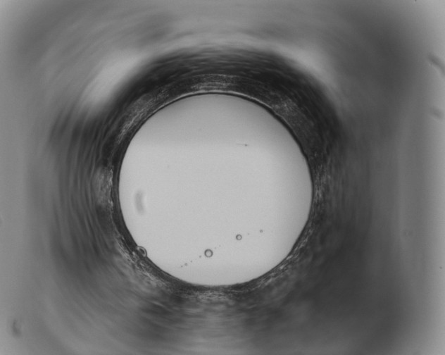 X0000103470146200809191843