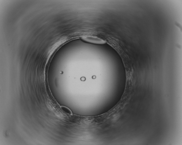 X0000103470148200809191843