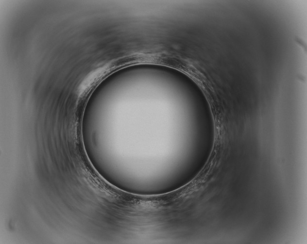 X0000103470149200809191843