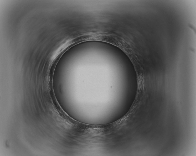 X0000103470150200809191843