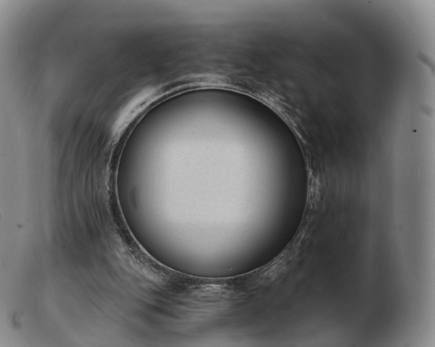 X0000103470151200809191843