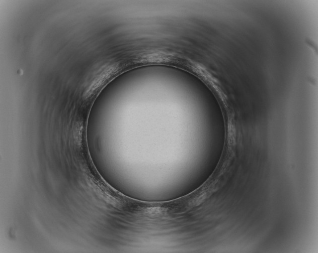 X0000103470153200809191843