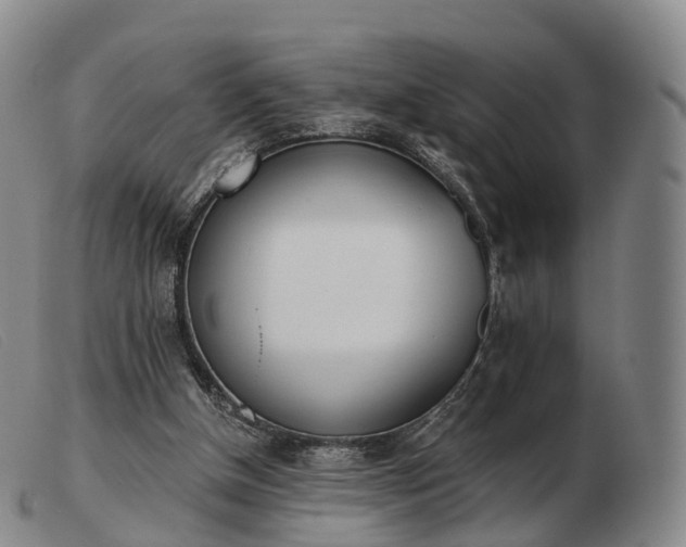 X0000103470154200809191843