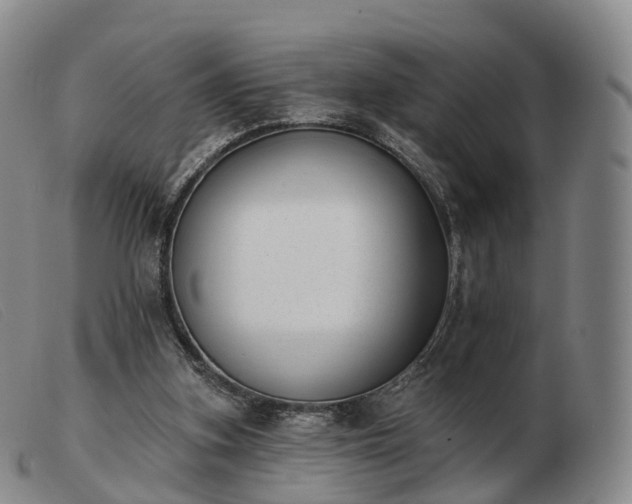 X0000103470155200809191843