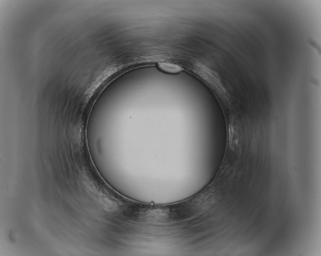 X0000103470156200809191843