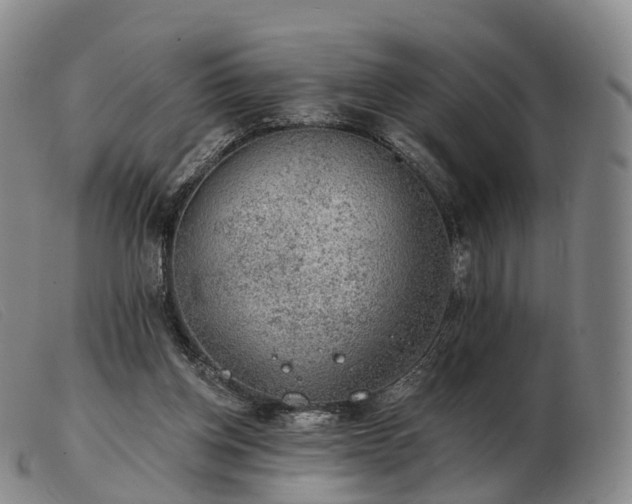 X0000103470158200809191843