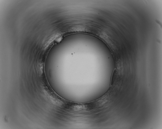 X0000103470160200809191843