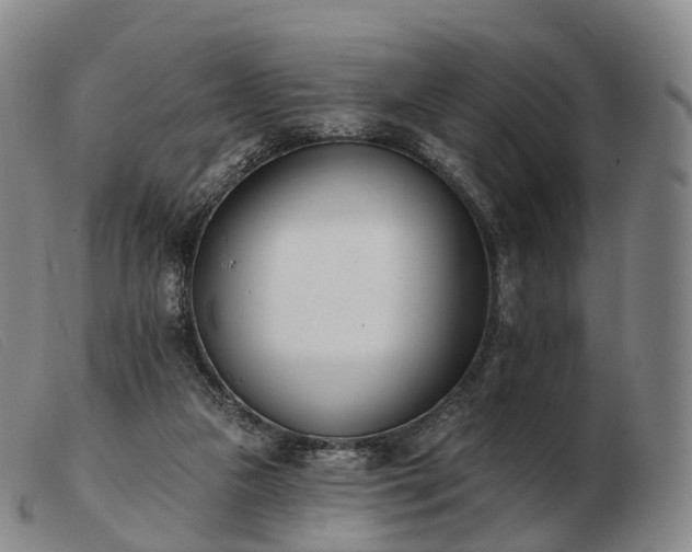 X0000103470161200809191843