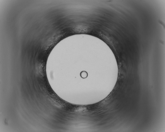 X0000103470162200809191843