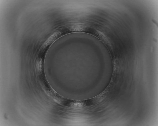 X0000103470163200809191843