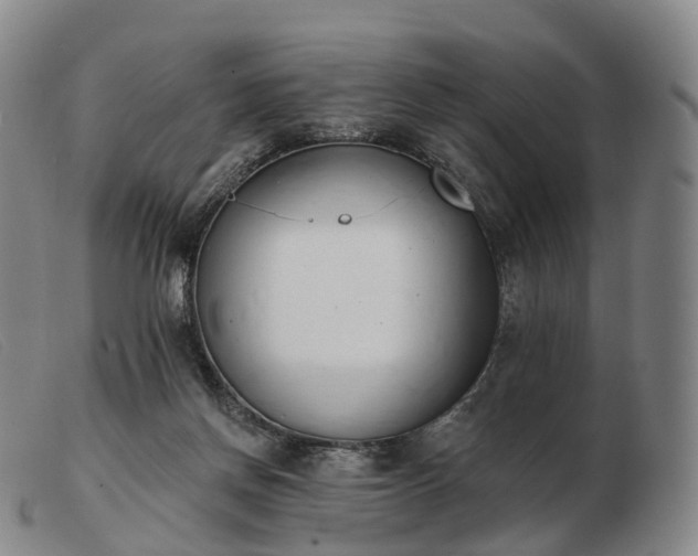 X0000103470166200809191843