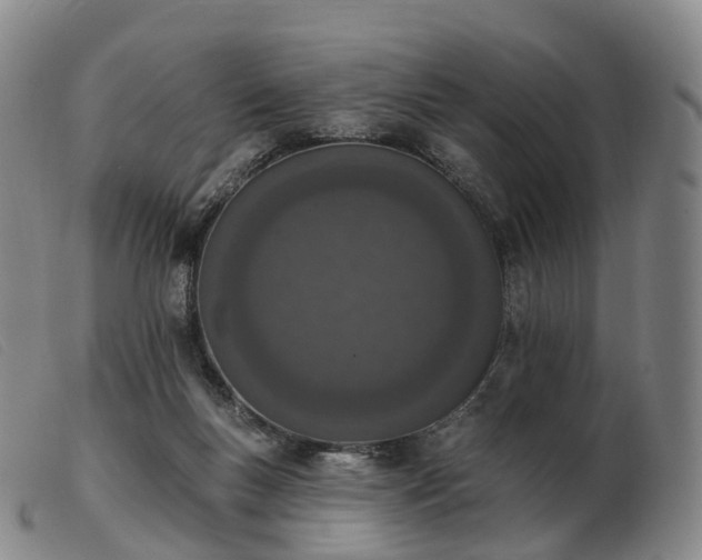 X0000103470167200809191843