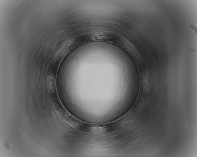 X0000103470169200809191843