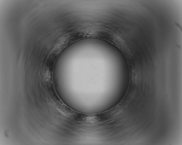 X0000103470173200809191843