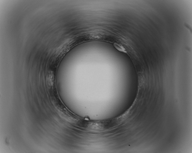 X0000103470174200809191843