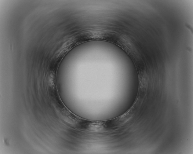 X0000103470175200809191843