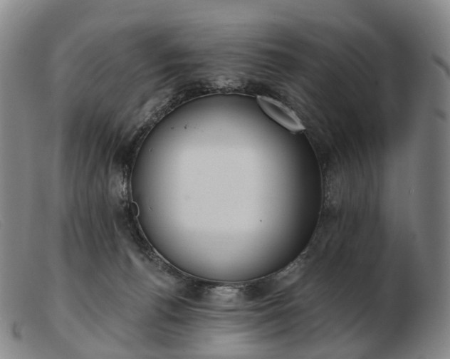 X0000103470176200809191843