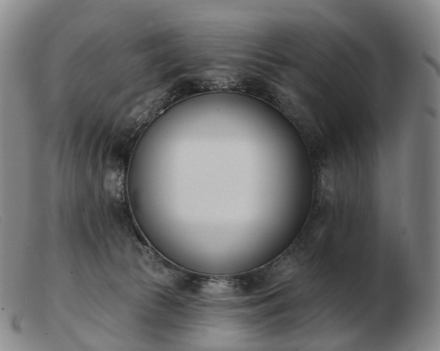 X0000103470177200809191843