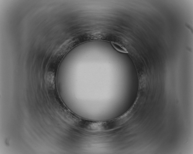 X0000103470178200809191843