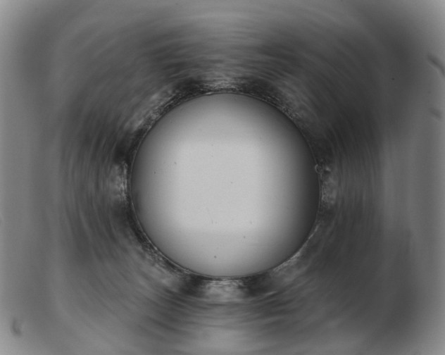 X0000103470179200809191843