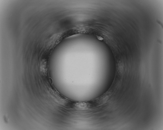 X0000103470181200809191844