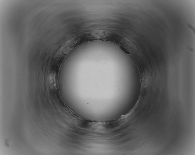 X0000103470182200809191844