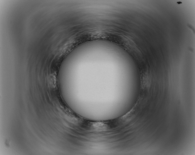 X0000103470183200809191844