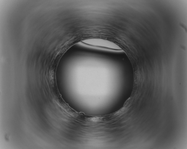 X0000103470184200809191844