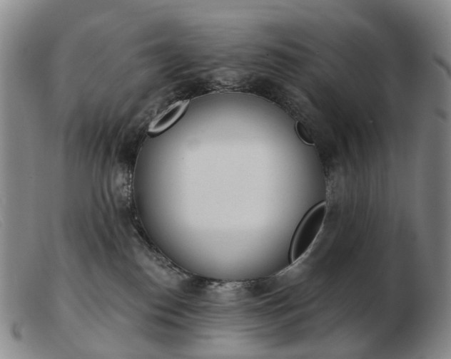 X0000103470186200809191844