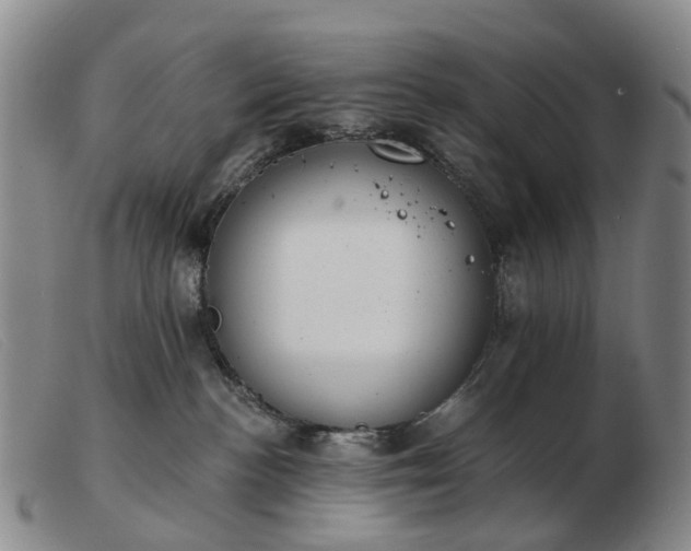 X0000103470188200809191844