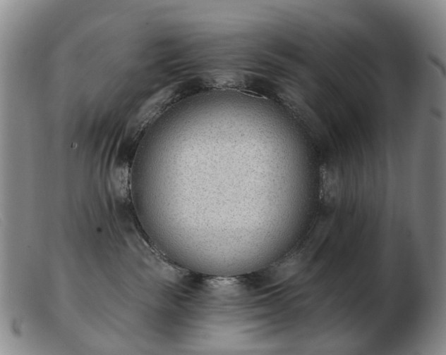 X0000103470189200809191844