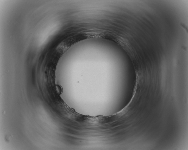 X0000103470190200809191844