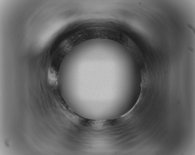 X0000103470191200809191844