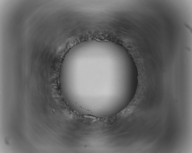 X0000103470192200809191844