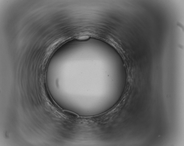 X0000103470193200809191843