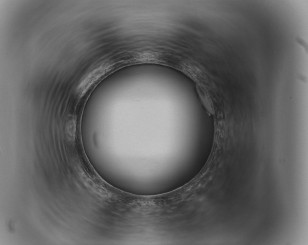 X0000103470194200809191843