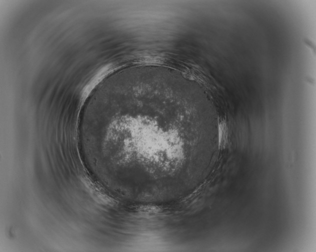 X0000103470195200809191843