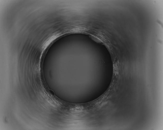 X0000103470196200809191843