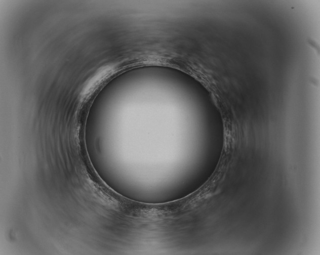 X0000103470197200809191843