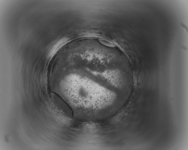 X0000103470199200809191843