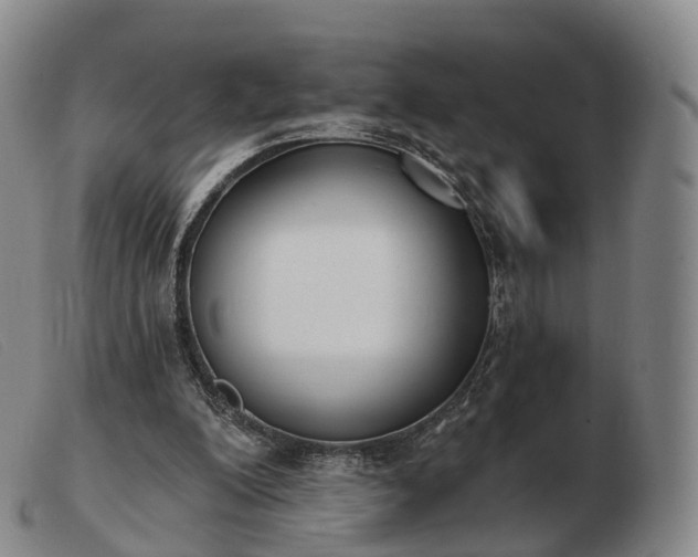 X0000103470200200809191843