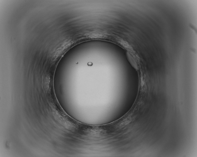 X0000103470201200809191843