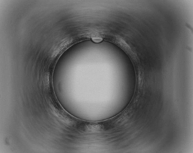 X0000103470202200809191843