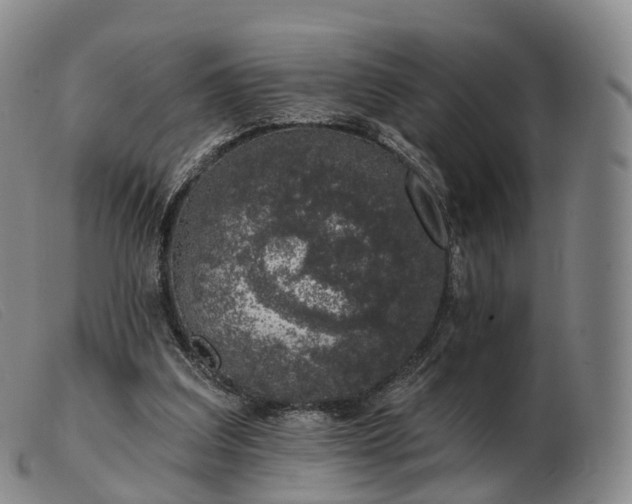 X0000103470203200809191843