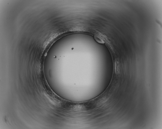 X0000103470204200809191843