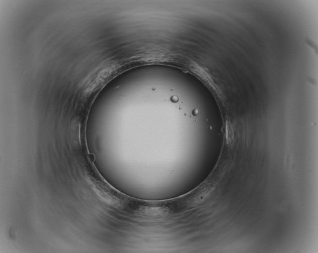 X0000103470205200809191843