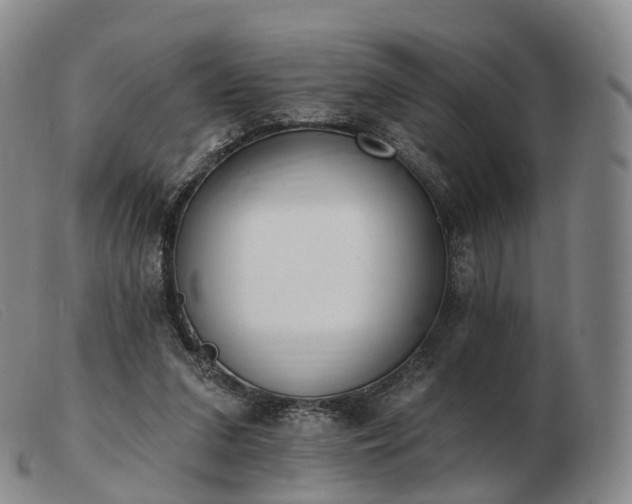 X0000103470207200809191843