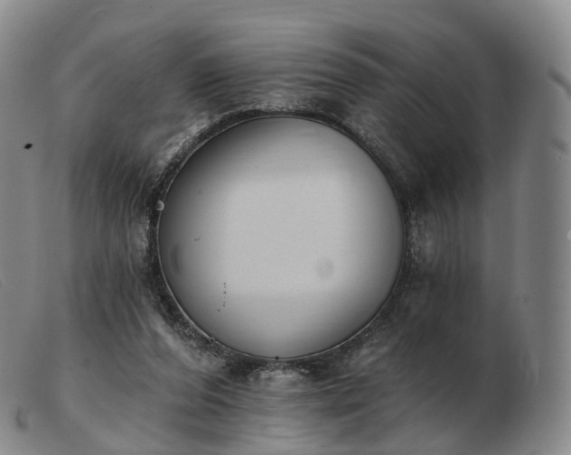 X0000103470208200809191843