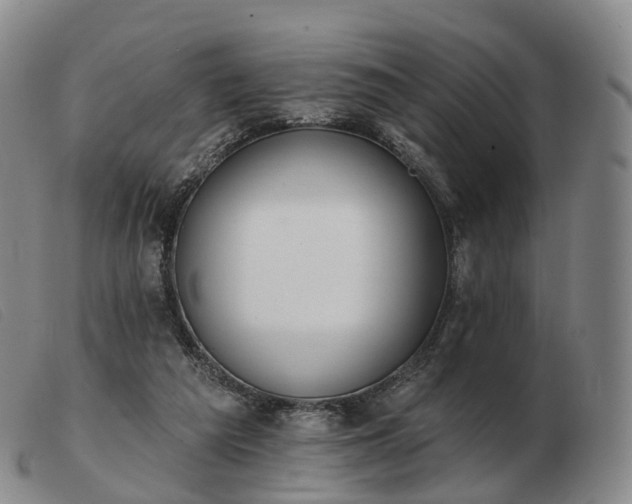 X0000103470209200809191843