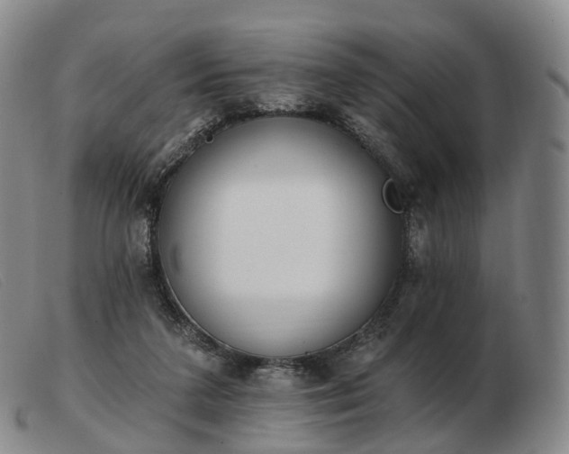 X0000103470211200809191843